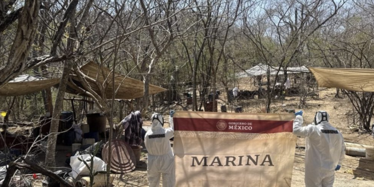 Marina neutraliza narcolaboratorio en Sinaloa