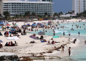 Causa guerra crisis con los fertilizantes