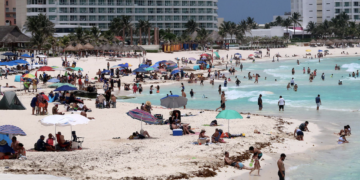 Causa guerra crisis con los fertilizantes