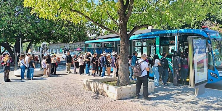 Transporte Eléctrico Gratuito del Centro considerará al menos 30 paradas