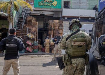 Operativo SINERGIA realiza cateos en la Central de Abastos