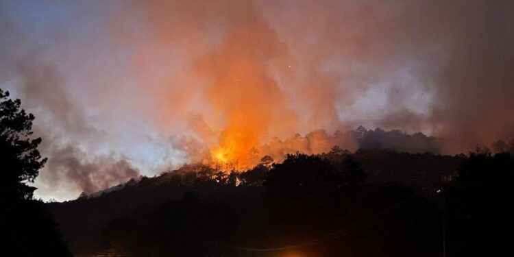 Declaran emergencia por incendios en Querétaro; PC refuerza operativo de Semana Santa