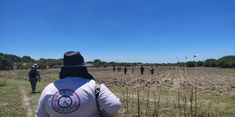 Encuentran restos óseos en la zona cerril de la comunidad de La Llave