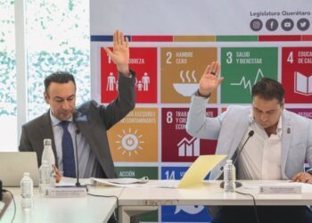 Este martes presentan primer dictamen sobre la Ley de Bienestar Animal