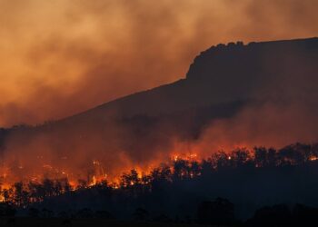 Cambio climático elevaría hasta 15 % la mortalidad en México, según estudio