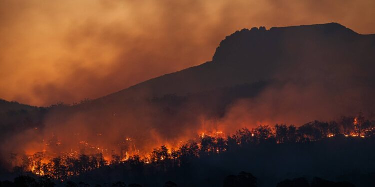 Cambio climático elevaría hasta 15 % la mortalidad en México, según estudio