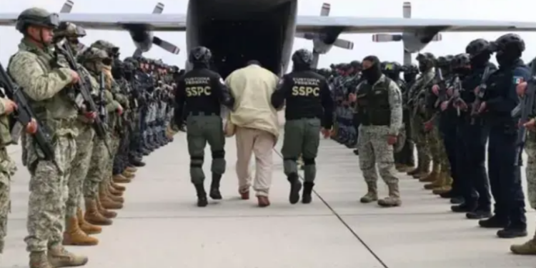 EU presume la detención de 26 miembros de cárteles mexicanos en el primer año de Trump