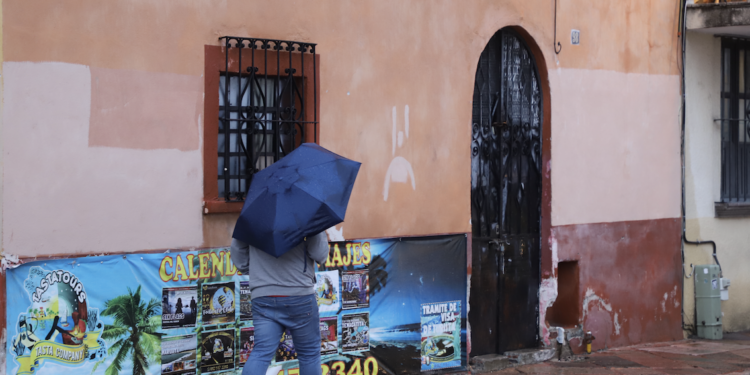 Al 76% refrendo vehicular estatal