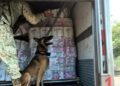 Aseguran 65 kg de cocaína en tráiler en Colima