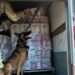 Aseguran 65 kg de cocaína en tráiler en Colima