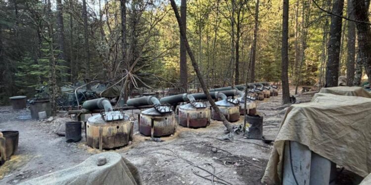 Embajador Johnson lamenta muerte de oficiales de EE.UU. tras operativo antidrogas en Chihuahua