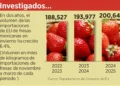 Impondría EU arancel del 18% a fresas mexicanas