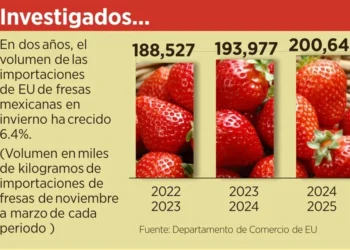 Impondría EU arancel del 18% a fresas mexicanas