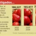 Impondría EU arancel del 18% a fresas mexicanas