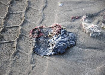 Fuga en oleoducto provocó derrame de crudo en el Golfo de México: Pemex