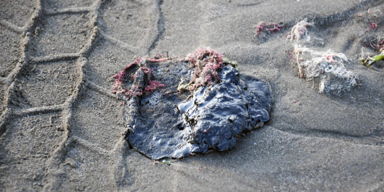 Fuga en oleoducto provocó derrame de crudo en el Golfo de México: Pemex