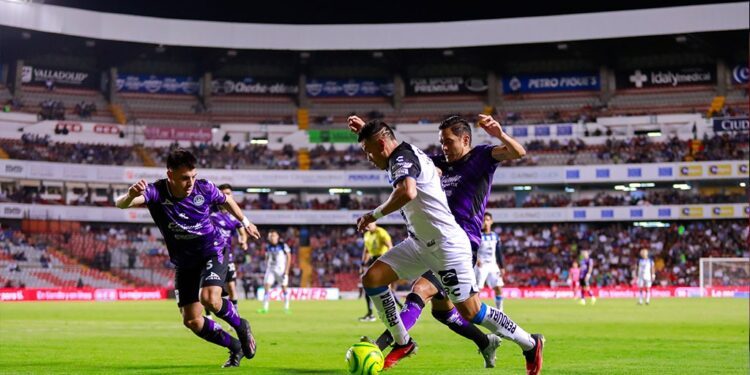 Gallos Blancos aún sueña con liguilla