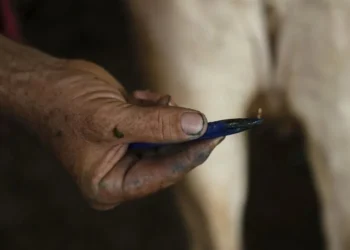 Reportan caso de gusano barrenador en Monterrey