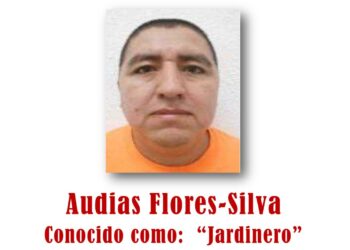 Detienen a ‘el Jardinero’, requerido en EE.UU. por tráfico de drogas