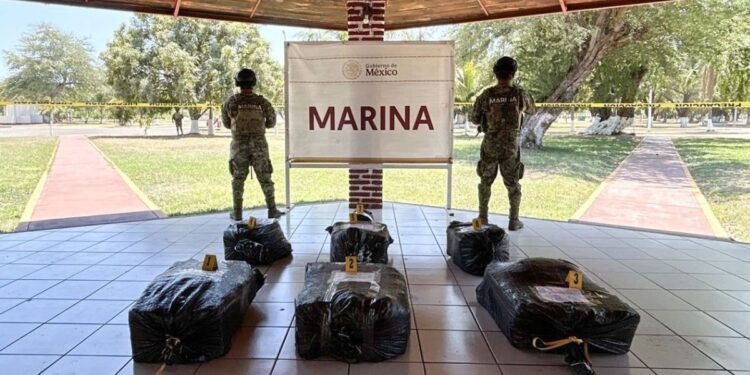 Marina incauta 56 mdp en cocaína en costas de Michoacán