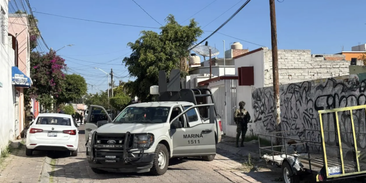 Caen 71 personas por delitos federales