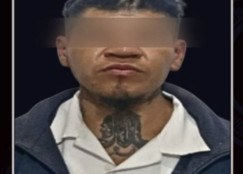 Sentenciado por delitos  contra los animales