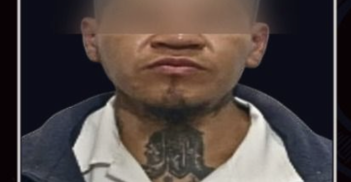 Sentenciado por delitos  contra los animales