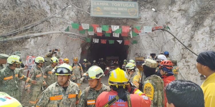 Rescatan con vida a Rafael Francisco Zapata, tras 14 días del derrumbe en Sinaloa