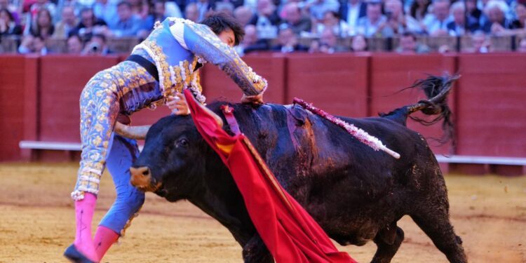 Roca Rey “muy grave”