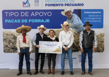 Entrega Monsalvo 30 mil pacas de forraje en apoyo a productores pecuarios