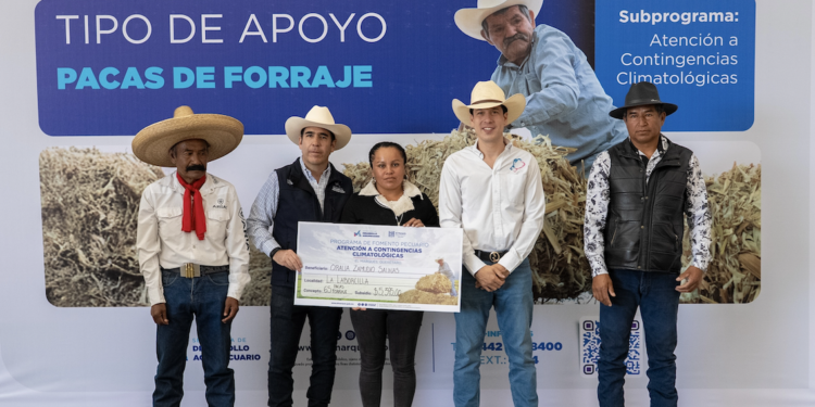 Entrega Monsalvo 30 mil pacas de forraje en apoyo a productores pecuarios
