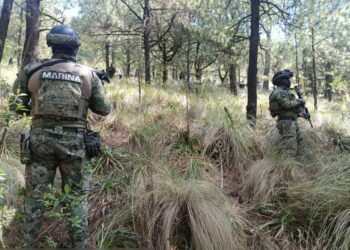 Operativo Refuerzo CDMX: 55 detenidos en marzo