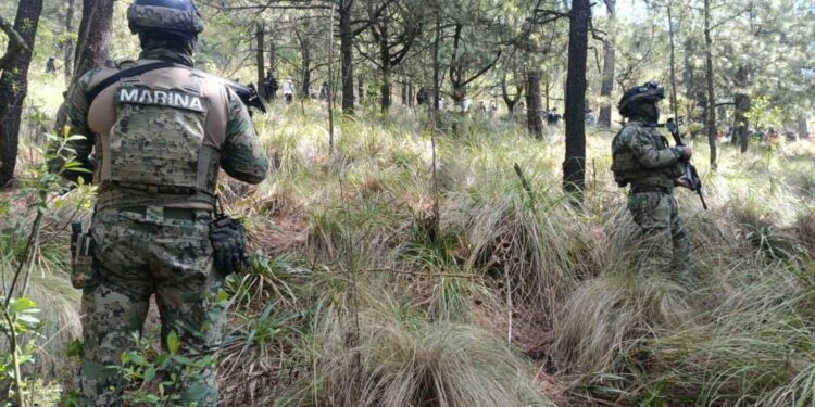 Operativo Refuerzo CDMX: 55 detenidos en marzo