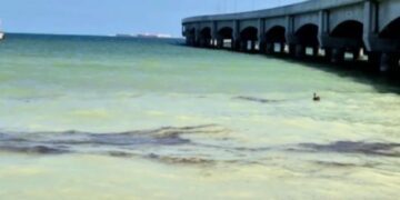 Aparecen manchas de crudo en Puerto Progreso, Yucatán; autoridades refieren falla en ducto submarino