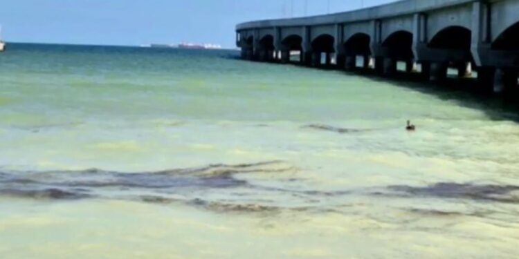 Aparecen manchas de crudo en Puerto Progreso, Yucatán; autoridades refieren falla en ducto submarino