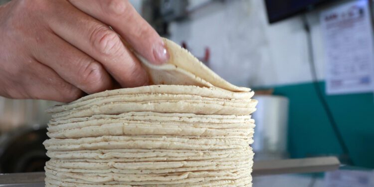 Tortilleros en México chocan con Gobierno por alza de precios, costos e informalidad