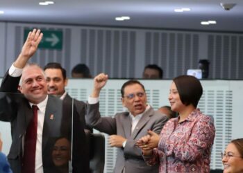 Reconozco.  No lo hice