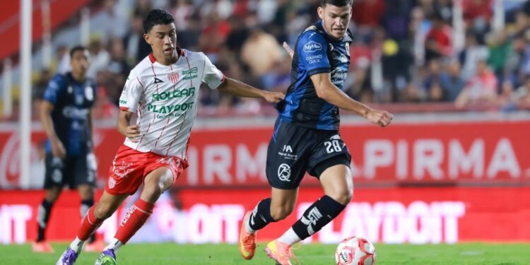 Recibe Gallos Blancos al Necaxa este sábado