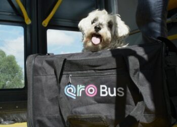 Anuncia Cuanalo Santos jornada de afiliación de mascotas al programa PetFriendly del sistema Qrobus