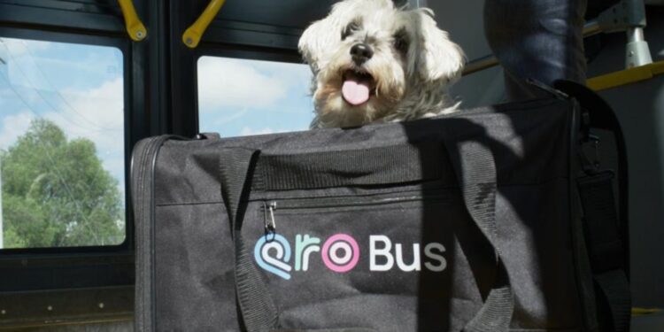 Anuncia Cuanalo Santos jornada de afiliación de mascotas al programa PetFriendly del sistema Qrobus