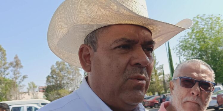 Querétaro se mantiene en alerta por presencia de gusano barrenador: SEDEA