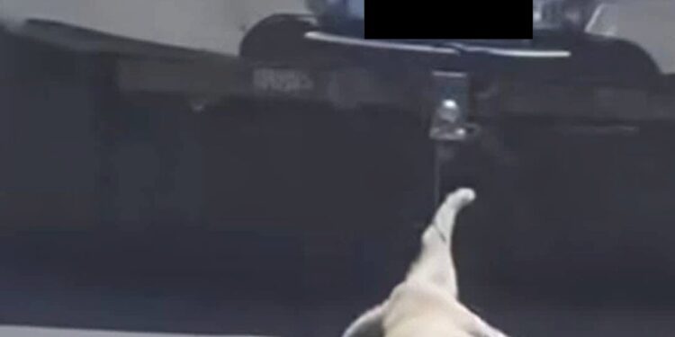 Denuncian caso de maltrato animal por arrastrar a un perro en Santa Rosa Jáuregui