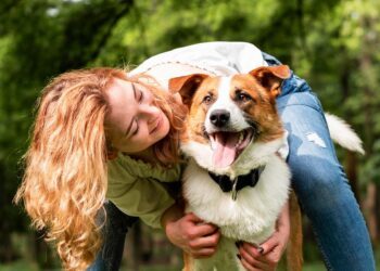 Este martes presentan primer dictamen sobre la Ley de Bienestar Animal