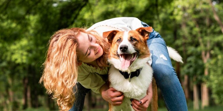 Este martes presentan primer dictamen sobre la Ley de Bienestar Animal