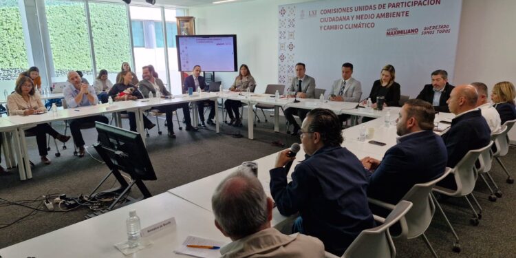 Dictamen de Ley de Bienestar animal deja fuera corridas de toros, peleas de gallos y charrería