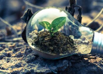 Destaca Querétaro en respeto a defensores de derechos ambientales