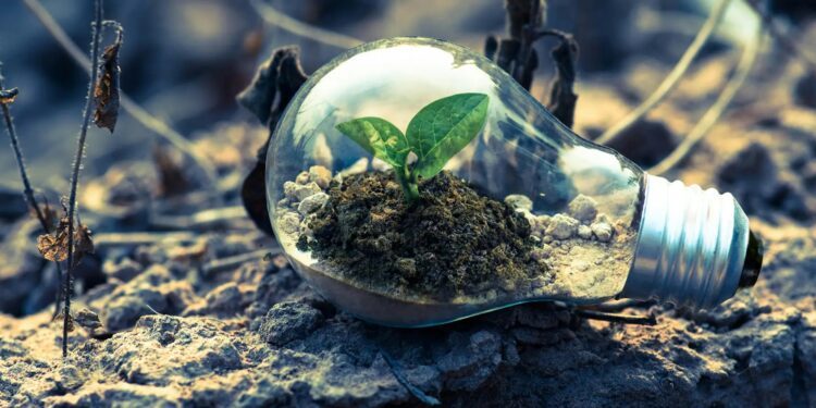 Destaca Querétaro en respeto a defensores de derechos ambientales