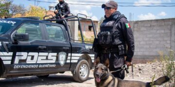 Policía Estatal de Querétaro en el Top 10 nacional en confianza y desempeño