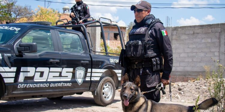 Policía Estatal de Querétaro en el Top 10 nacional en confianza y desempeño