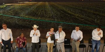 Inaugura Sheinbaum primera etapa del canal de Novojoa